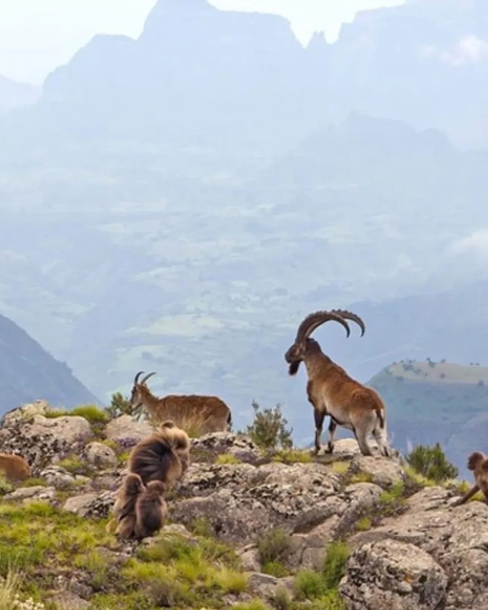 Ethiopia — what we will experience (2 of 6)