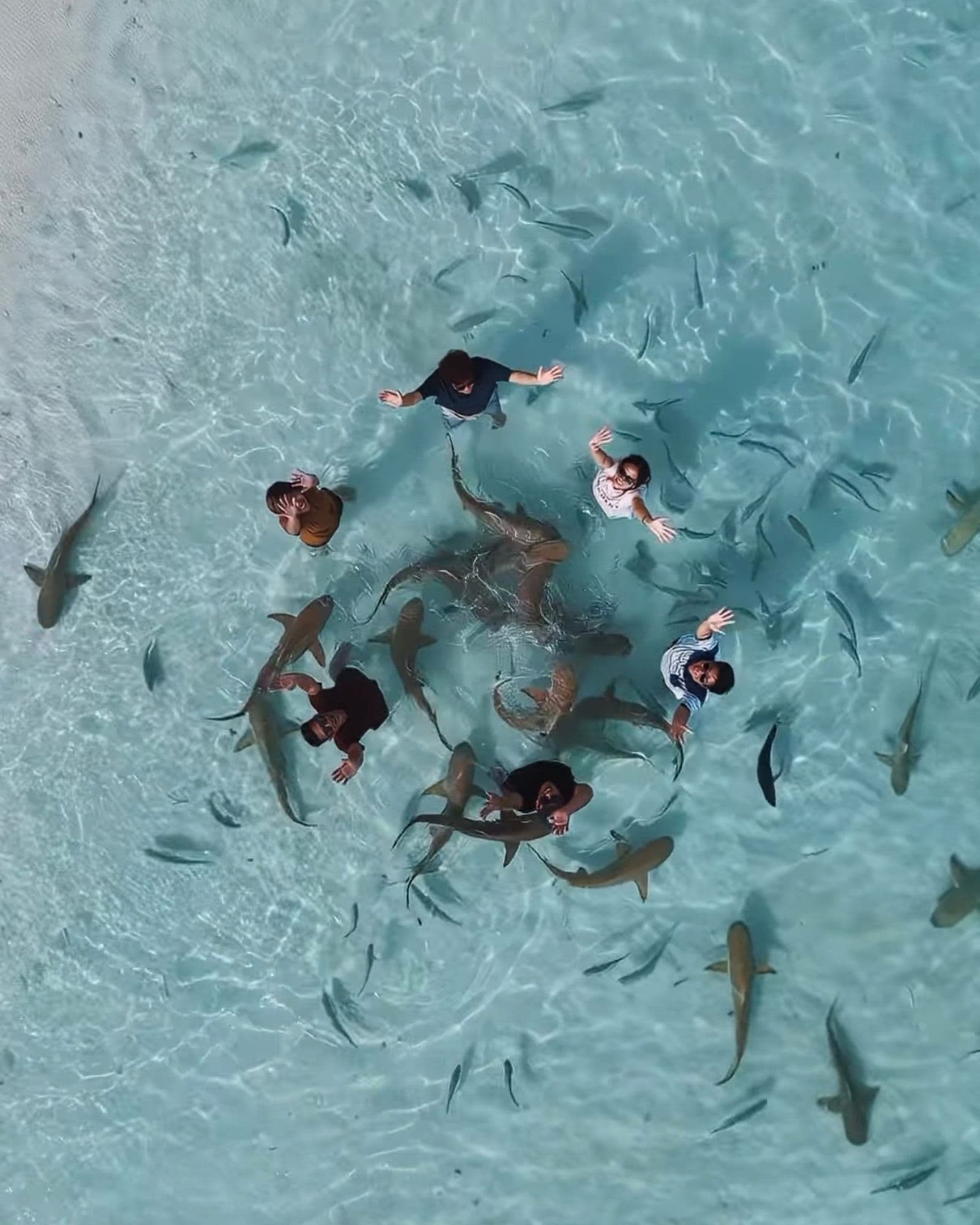 Raja Ampat — what we will experience (4 of 6)