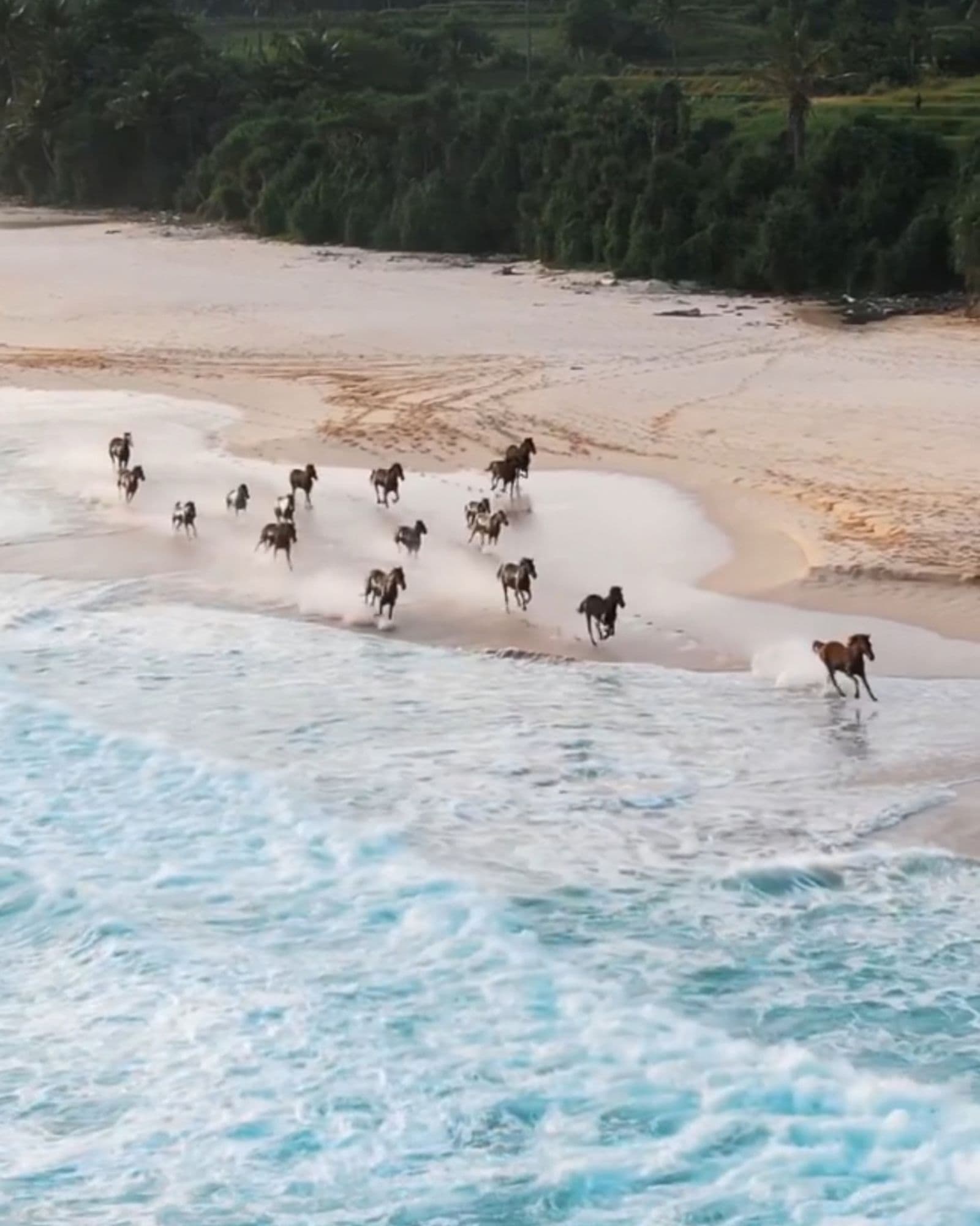 Sumba — what we will experience (6 of 6)